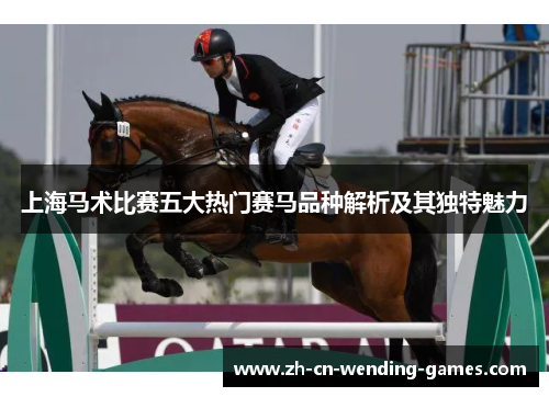 上海马术比赛五大热门赛马品种解析及其独特魅力