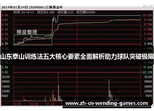 山东泰山训练法五大核心要素全面解析助力球队突破极限