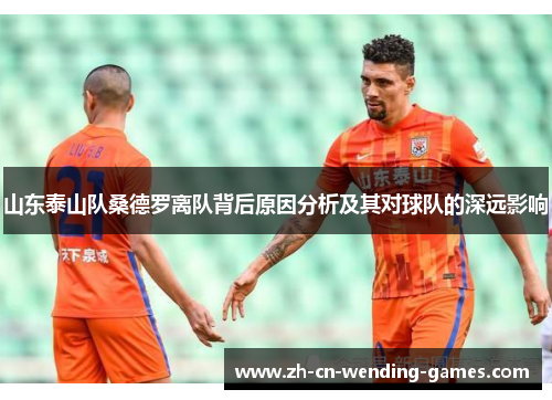 山东泰山队桑德罗离队背后原因分析及其对球队的深远影响