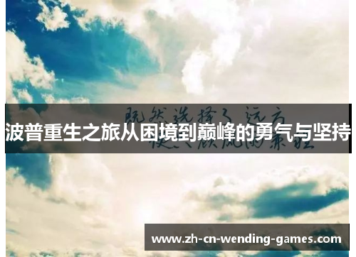 波普重生之旅从困境到巅峰的勇气与坚持