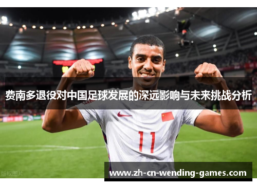 费南多退役对中国足球发展的深远影响与未来挑战分析