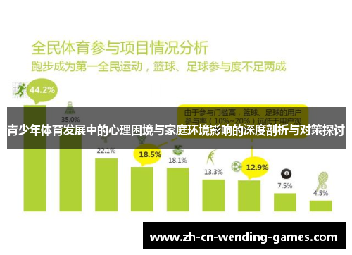 青少年体育发展中的心理困境与家庭环境影响的深度剖析与对策探讨