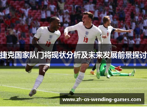 捷克国家队门将现状分析及未来发展前景探讨