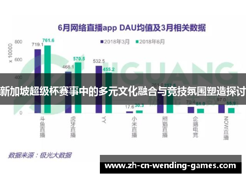 新加坡超级杯赛事中的多元文化融合与竞技氛围塑造探讨