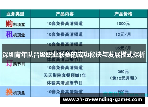 深圳青年队晋级职业联赛的成功秘诀与发展模式探析