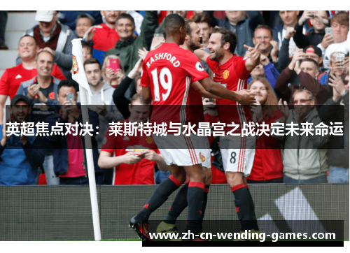 英超焦点对决:莱斯特城与水晶宫之战决定未来命运 英超焦点对决:莱斯特城与水晶宫之战决定未来命运