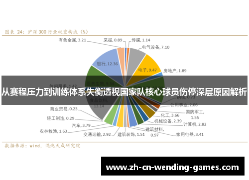 从赛程压力到训练体系失衡透视国家队核心球员伤停深层原因解析