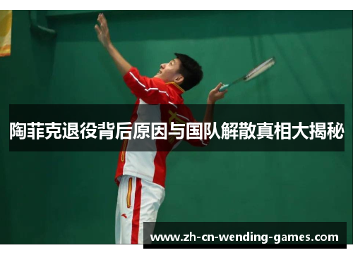 陶菲克退役背后原因与国队解散真相大揭秘